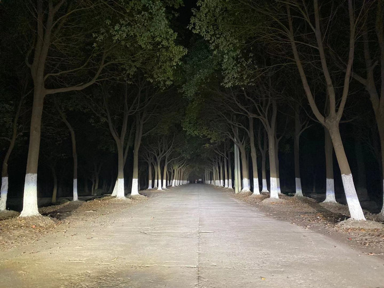 1606651018478974.jpg 微信图片_20201128221008.jpg