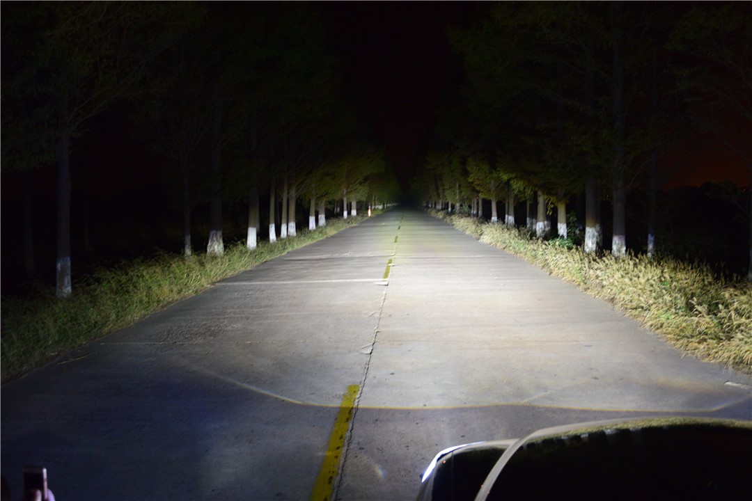 1562398903206863.jpg 111.jpg